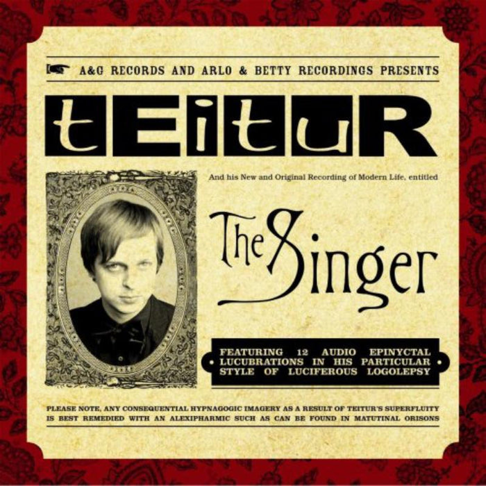 Teitur: The Singer
