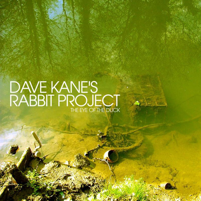 Dave Kane's Rabbit Project: The Eye of the Duck