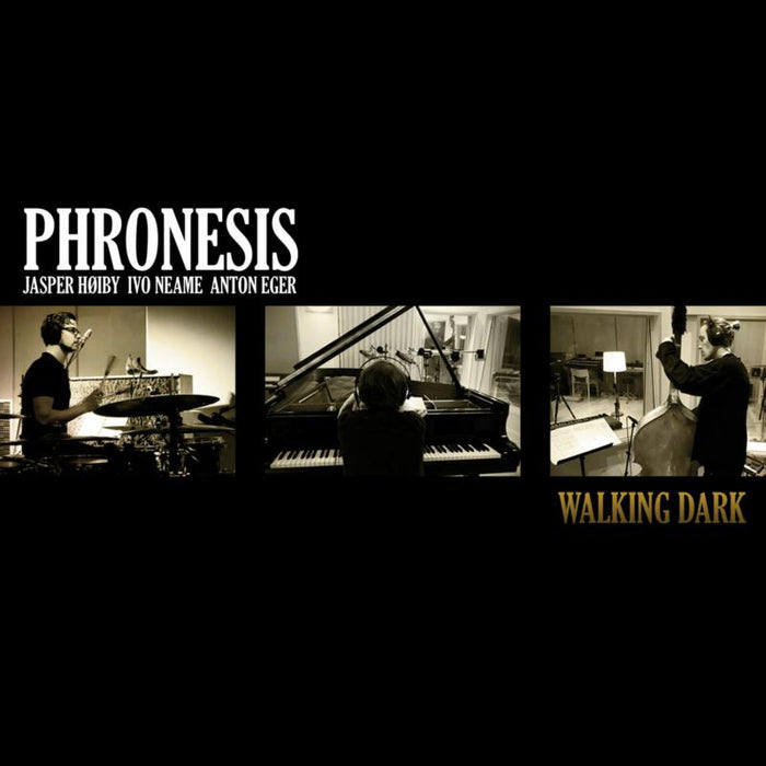 Phronesis: Walking Dark