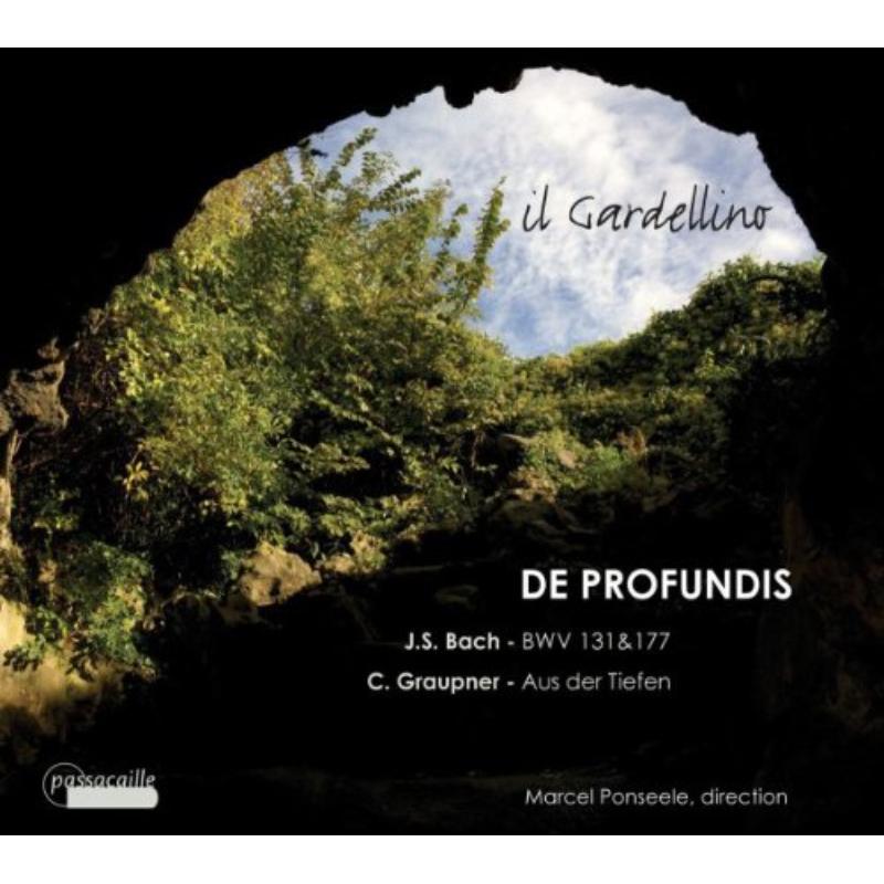 Weynants/Guillion/Ullman/Termont/Il Gardellino: Cantatas BWV 177 & BWV 131/Aus der Tiefen...
