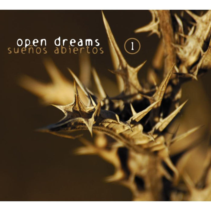 Suenos Abiertos (Open Dreams) Vol. 1
