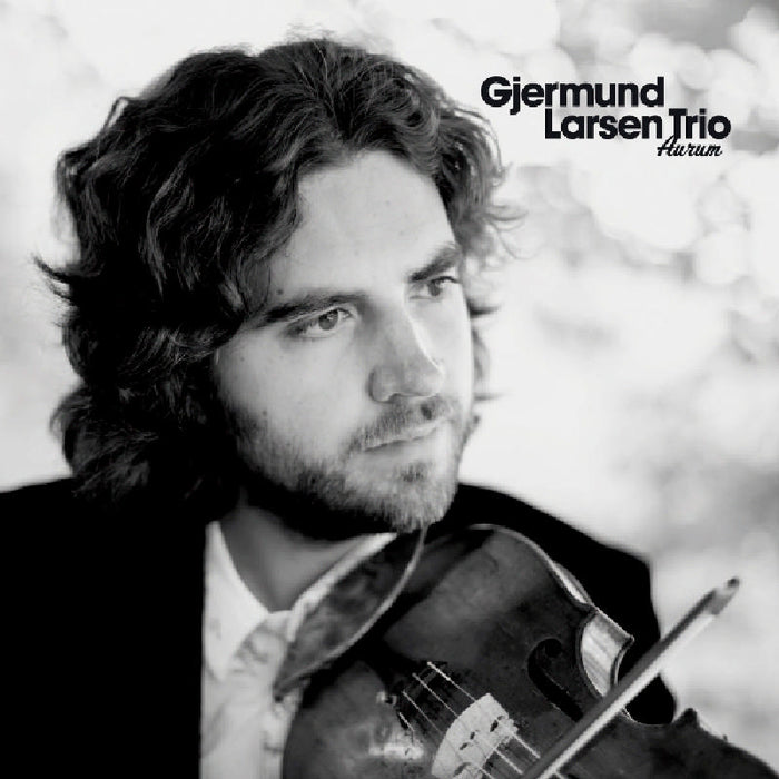 Gjermund Larsen Trio: Aurum