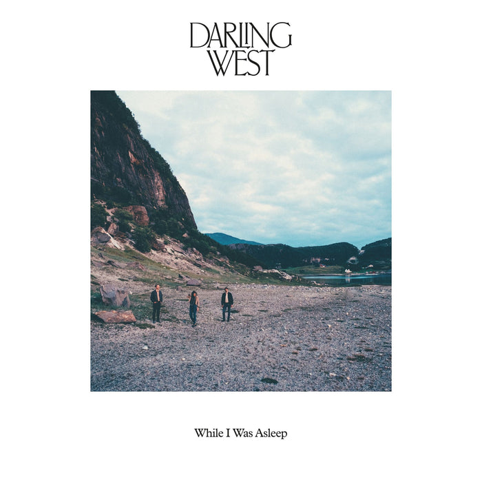 Darling West: While I Was Asleep
