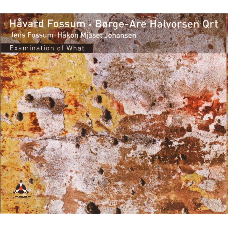 Havard Fossum & Borge-Are Halvorsen: Examination Of What