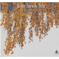Arne Torvik Trio: Northwestern Songs