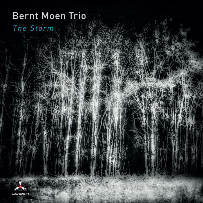 Bernt Moen Trio: The Storm