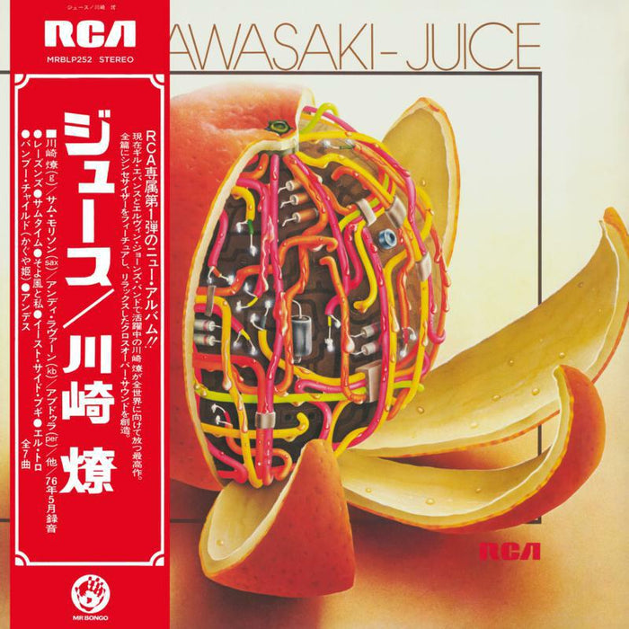Ryo Kawasaki: Juice (LP)