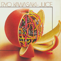 Ryo Kawasaki: Juice