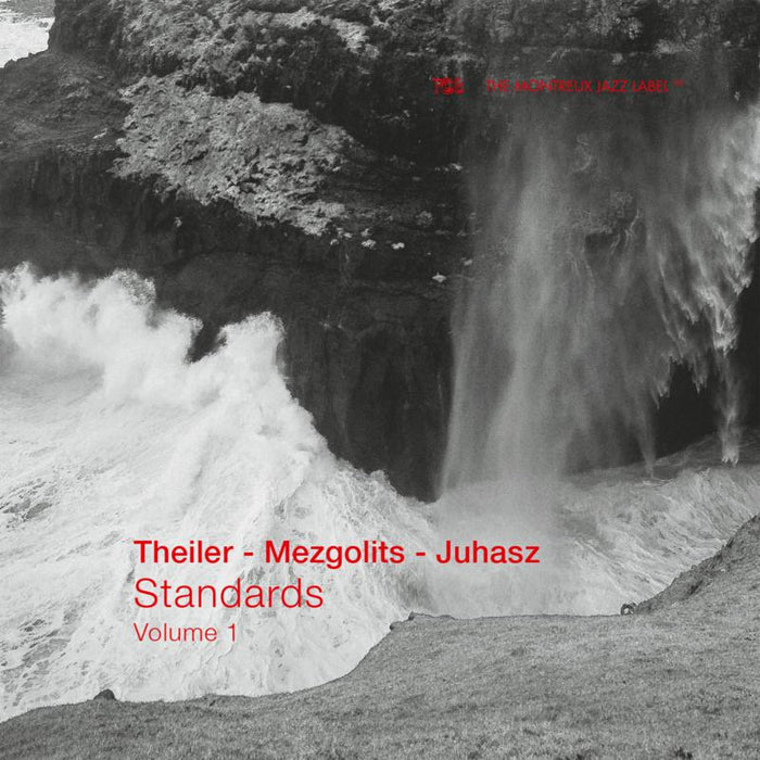 Yves Theiler, Marton Juhasz & Marc Mezgolits: Standards, Vol.1
