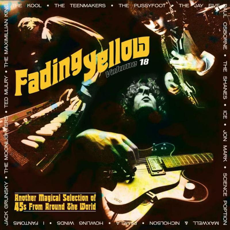 Various Artists: Fading Yellow Vol. 18