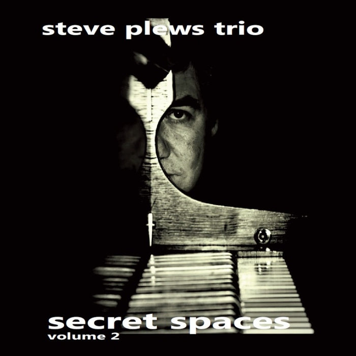 Steve Plews Trio: Secret Spaces Volume 2
