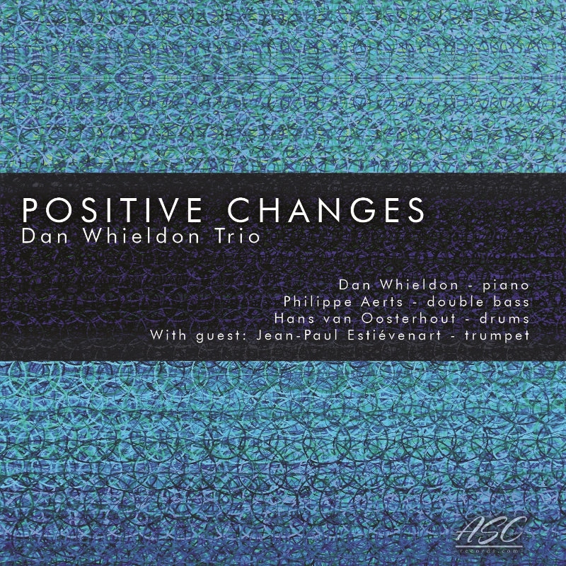 Dan Whieldon Trio: Positive Changes