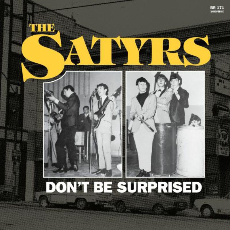 The Satyrs Don't Be Surprised CD