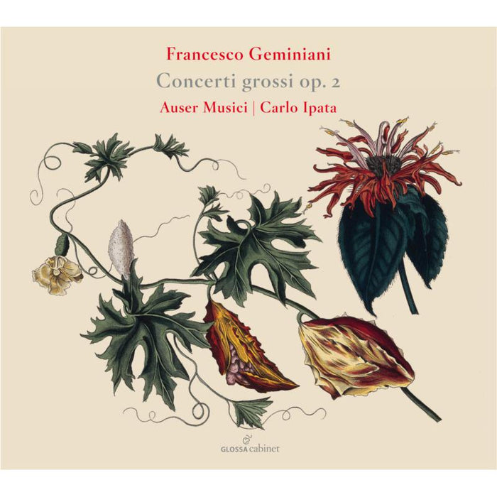 Auser Musici; Carlo Ipata: Francesco Geminiani: Concerti Grossi Op. 2
