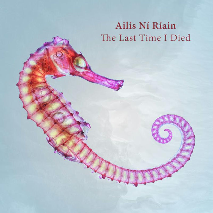 Ailis Ni Riain: The Last Time I Died