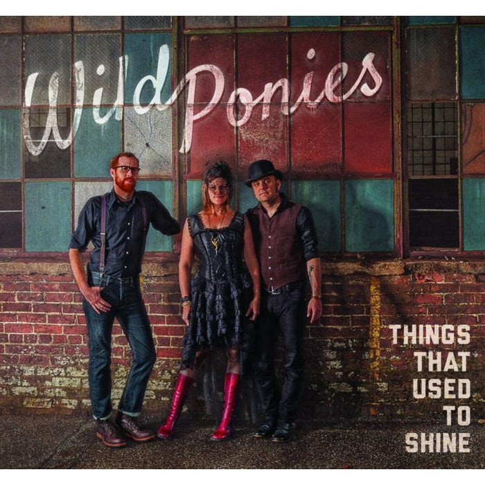 Wild Ponies: Things That Used To Shine