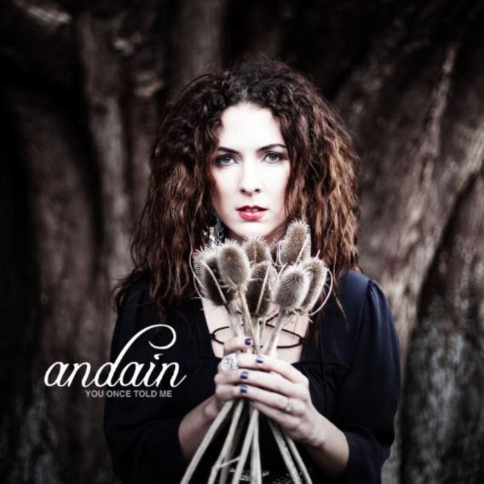 Andain: You Once Told Me