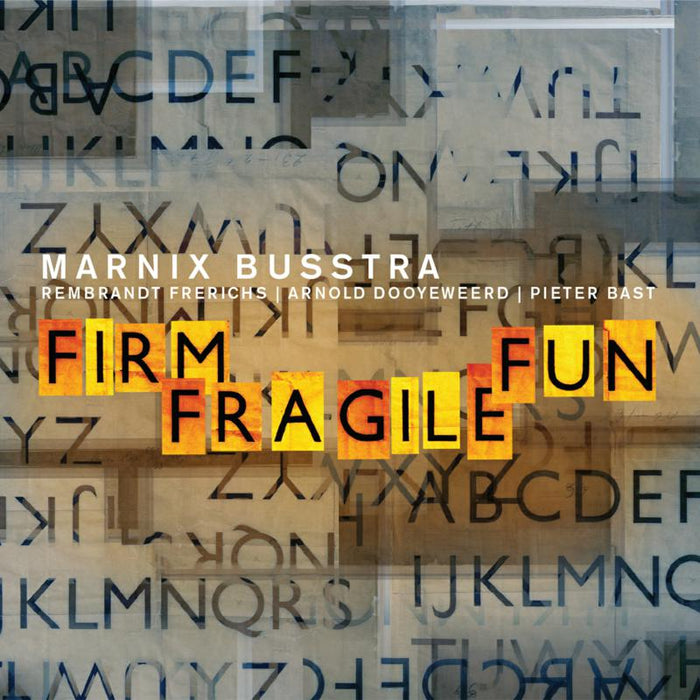 Marnix Busstra: Firm Fragile Fun