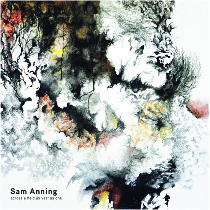 Sam Anning: Across a Field as Vast as One