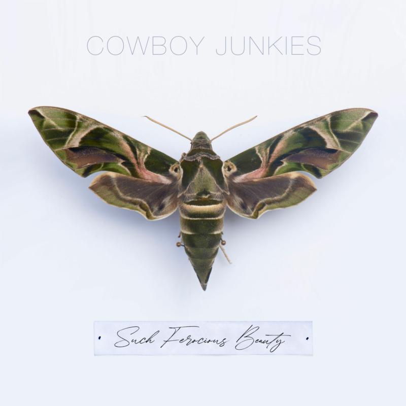 Cowboy Junkies Such Ferocious Beauty LP